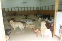 daycare pic 91 - group shot